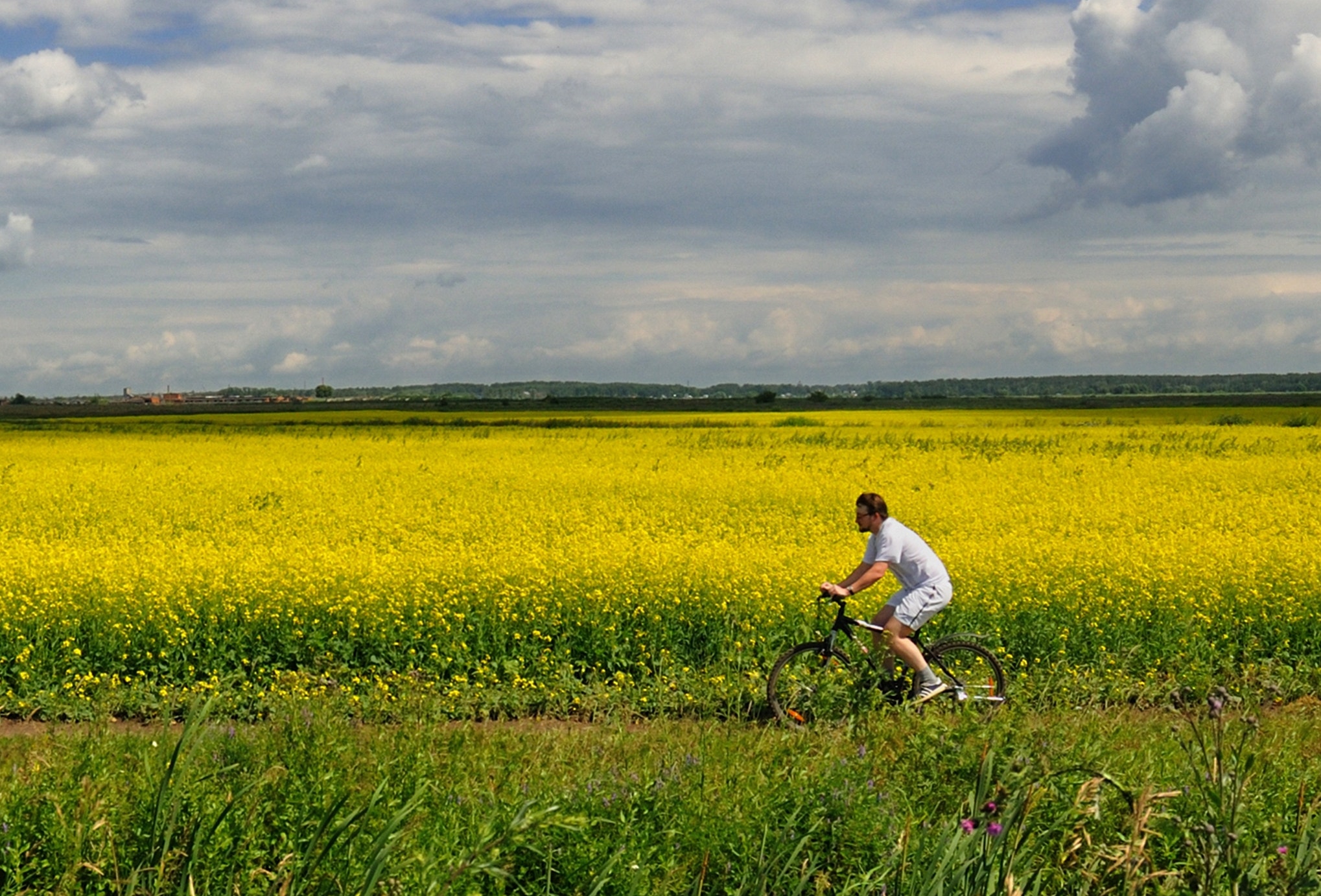 Male on a bicycle on field in Russia