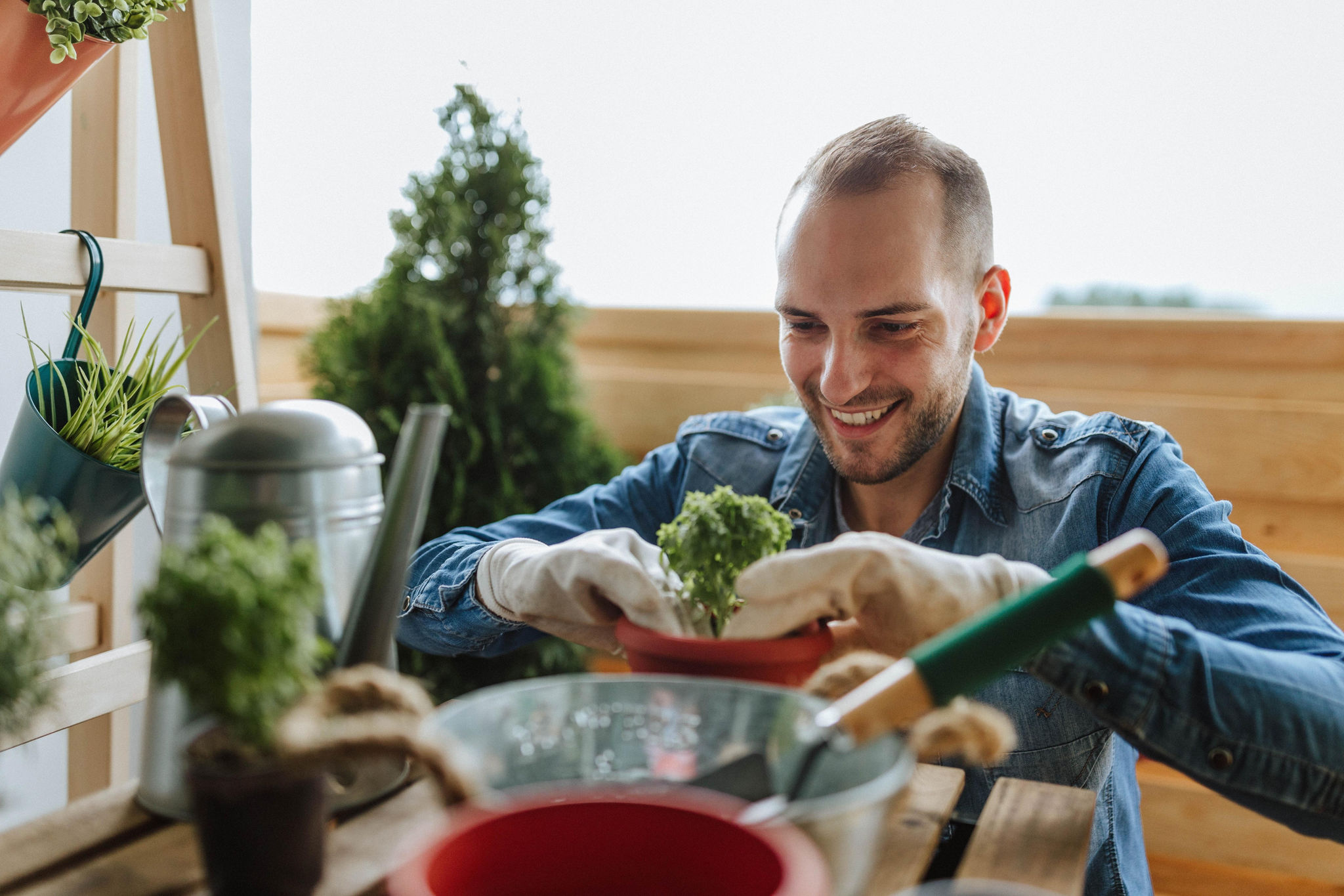 A young man working at a plant shop, tending to the greenery and organizing the shelves