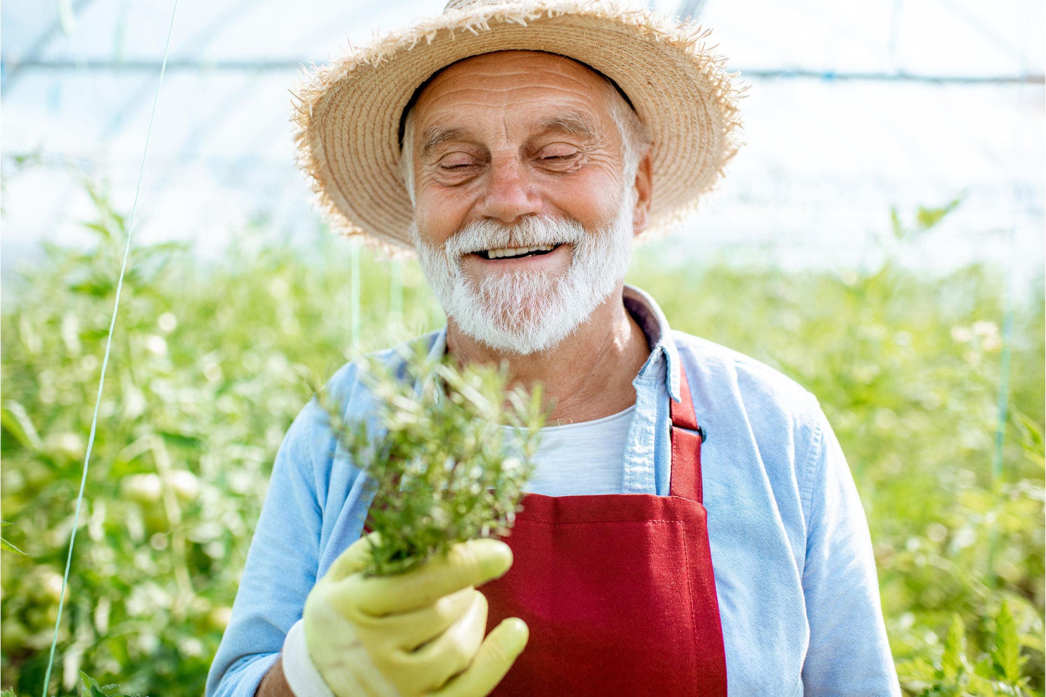 Canta-senior-man-gardening