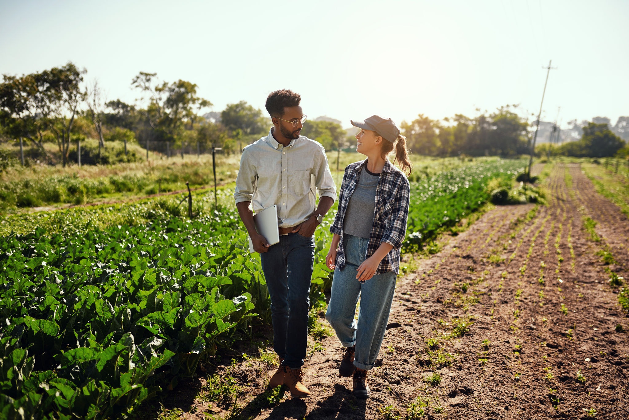 An agriculture manager and a farmer talking while walking together on a farm